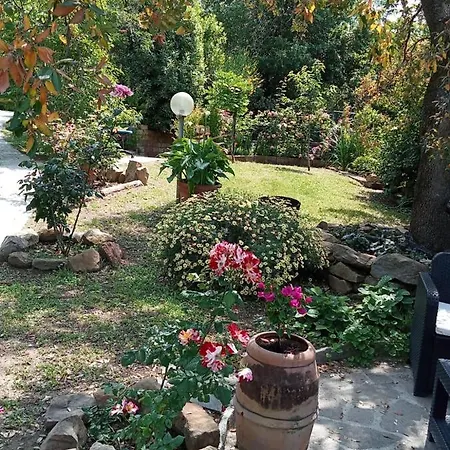 La Casa Nel Crocino דירה *