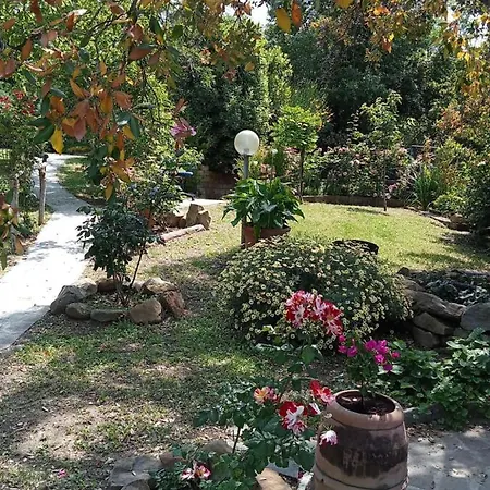 La Casa Nel Crocino